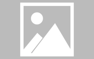 湛江关于网站制作的文章（关于网站制作的文章有哪些）